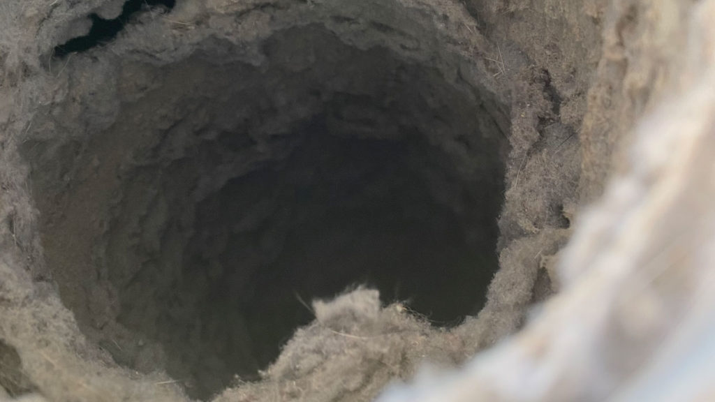 lint-vent-cleaning